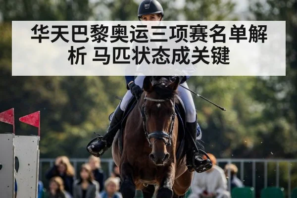 华天巴黎奥运三项赛名单解析 马匹状态成关键