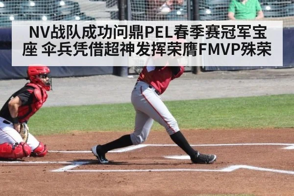 NV战队成功问鼎PEL春季赛冠军宝座 伞兵凭借超神发挥荣膺FMVP殊荣